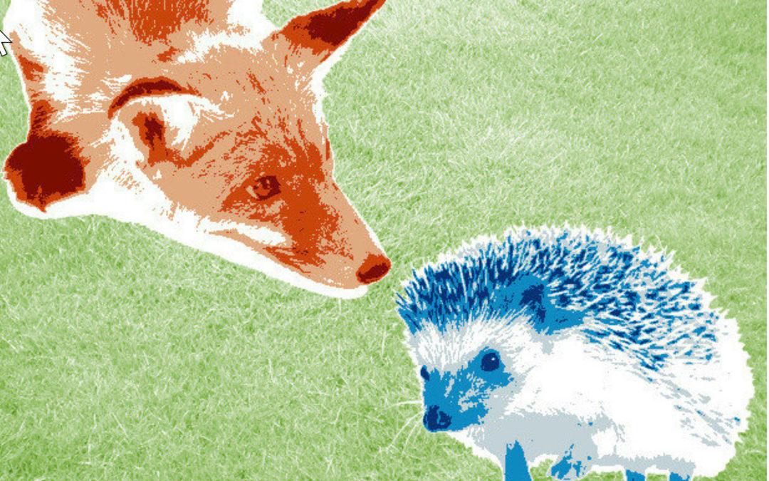 Foxes and Hedgehogs